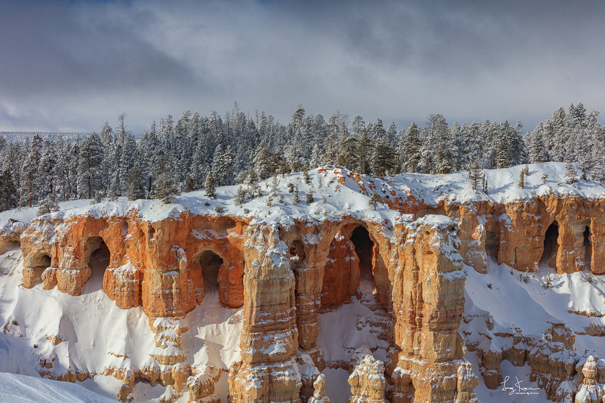 Bryce Point View