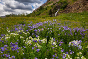 A foreground meadow of wildflowers highlighted in the background by a beautiful waterfall.