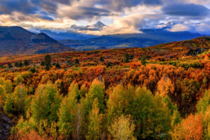 Located just outside Ridgway, Colorado, the Dallas Divide mountain range provides some of the best color and beauty found in Colorado.