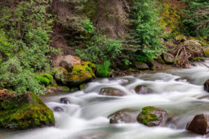 Little Nellie Creek, near Lake City, Colorado shows it's turbulence from the recent spring runoff.