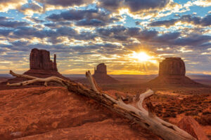 This photograph was taken near sunrise of the famous Monument Valley "mittens". A dead tree frames scene as clouds add drama to the image.