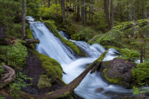 These tumultuous falls are part of the Zig Zag River system on Mt Hood, in Oregon.