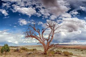 This desolate looking salt basin is found on I-70 in Utah near Green River. The clouds and sky lend drama to an otherwise parched void.