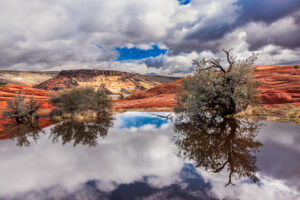 These prehistoric sand dunes in Snow Canyon State Park are so solid that they hold copious amounts of water after winter storms. This photo features such a pool with some brush and Dramatic clouds.