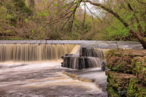 A high springtime flow in the hills of Tennessee