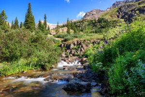 A beautiful and peaceful stream in Ouray, Colorado with banks of wildflowers