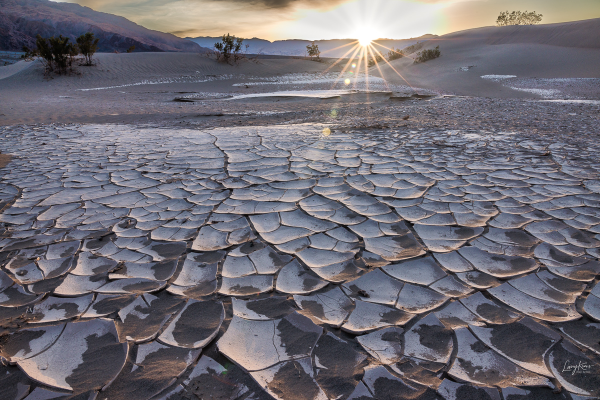 Sand Dune Mud Cracks