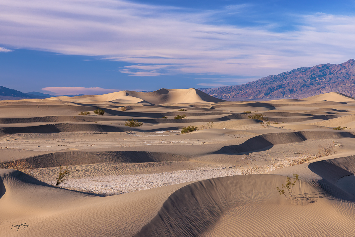 Dunes At Sunset