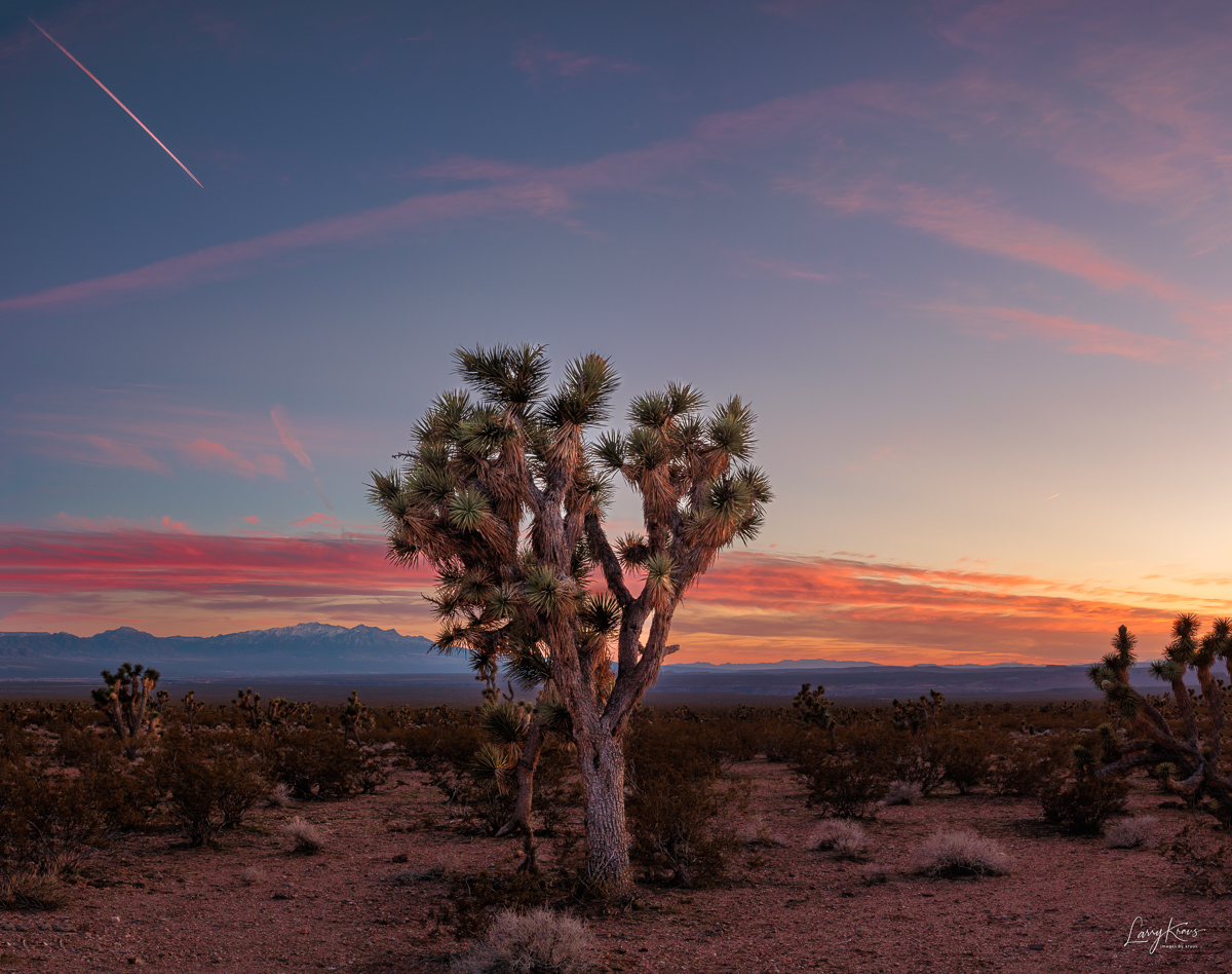 Mojave Sunset