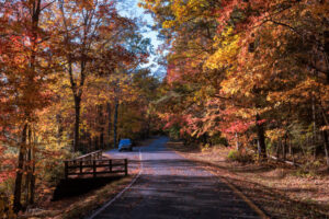 Looking back through the beautiful scenic loop in Falls Creek State Park, Tennessee