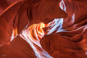 The golden light at the top of the canyon filters down to the canyon walls