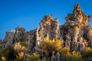 A land locked Tufa on Mono Lake features a single black bird on its spires