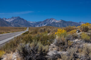 Heading up into the High Sierra from the Owens River valley